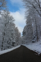 An empty road running through a snowy forest with a blue sky above. 