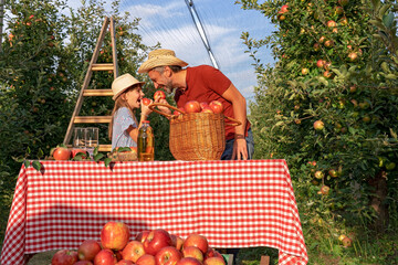 Little Girl and Her Father Eating Apples and Having Fun in an Orchard