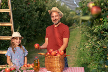 Obraz premium Farmer and His Little Daughter With A Basket of Appetizing Red Apples and Apple Juice on Table in Sunny Orchard