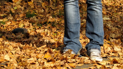 Donna solitaria che passeggia su un tappeto di foglie in autunno