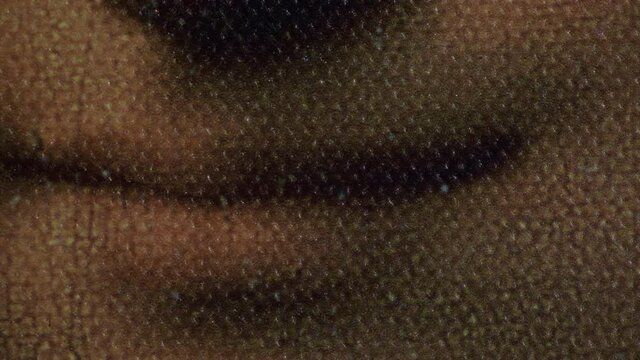 Smile of Gioconda o Mona Lisa illuminated with lights of candles fade to black