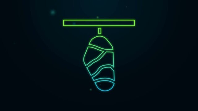 Glowing neon line Butterfly cocoon icon isolated on black background. Pupa of the butterfly. 4K Video motion graphic animation