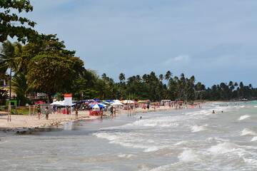 Obraz premium maragogi