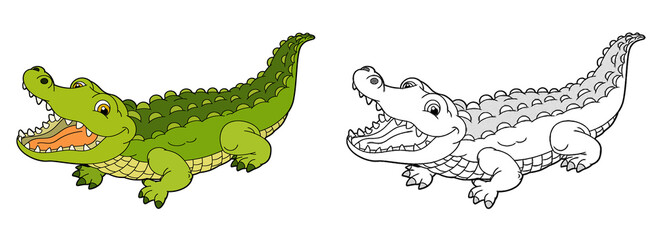 Naklejka premium cartoon sketch scene with alligator crocodile illustration