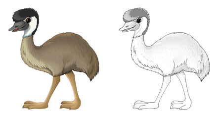 cartoon sketch scene with emu bird illustration