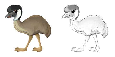 cartoon sketch scene with emu bird illustration