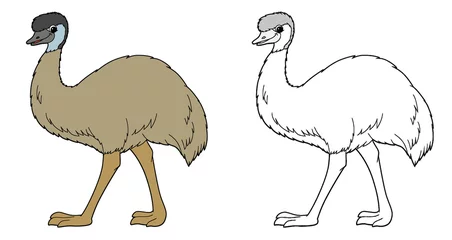 Gordijnen cartoon sketch scene with emu bird illustration © agaes8080