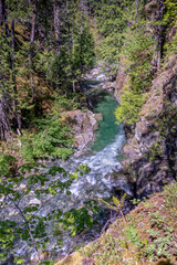 Little Qualicum Falls Park trees and river