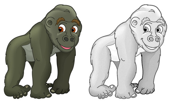 cartoon sketch scene with gorilla ape on white background - illustration