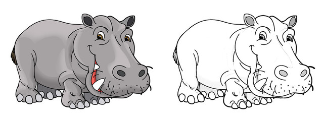 cartoon sketch scene with hippo hippopotamus on white background illustration