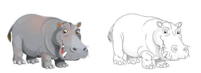 cartoon sketch scene with hippo hippopotamus on white background illustration - obrazy, fototapety, plakaty