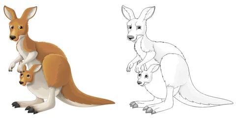 Keuken spatwand met foto cartoon sketch scene with kangaroo on white background - illustration © agaes8080