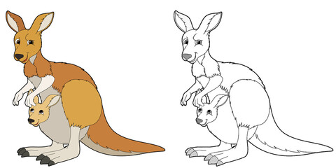 cartoon sketch scene with kangaroo on white background - illustration