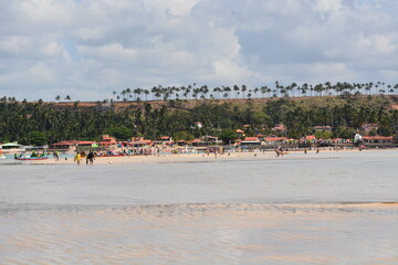 Fototapeta premium maragogi - alagoas