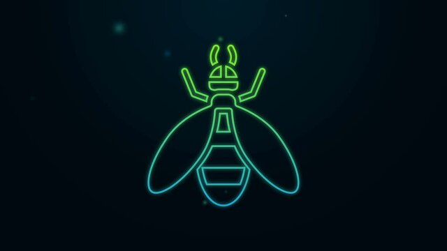Glowing neon line Bee icon isolated on black background. Sweet natural food. Honeybee or apis with wings symbol. Flying insect. 4K Video motion graphic animation