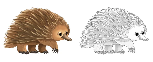 Selbstklebende Fototapeten cartoon sketch scene with porcupine hedgehog on white background - illustration © agaes8080