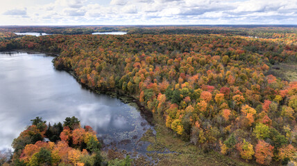Fall colours at peak in Eastern Ontario