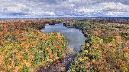 A lake surrounded by forest in fall