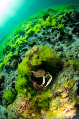 Wide underwater view on a cliff in Istanbul
