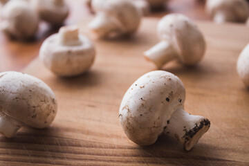 whole mushroom close up