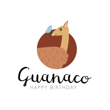 Vector illustration logo with animal guanaco and inscription Happy Birthday. Guanaco emblem with guanaco happy Birthday lettering