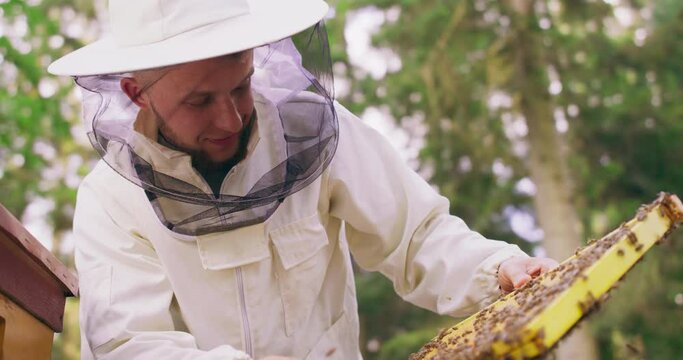 Young male bearded beekeeper in white protective suit, staying behind the hive, with bee hive tool in hand, turns beehive frame inspecting it. There is a lot of honeycombs filled with honey and wax