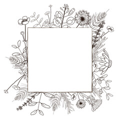 Square minimalistic frame with hand drawn wild forest herbs. Vector illustration.