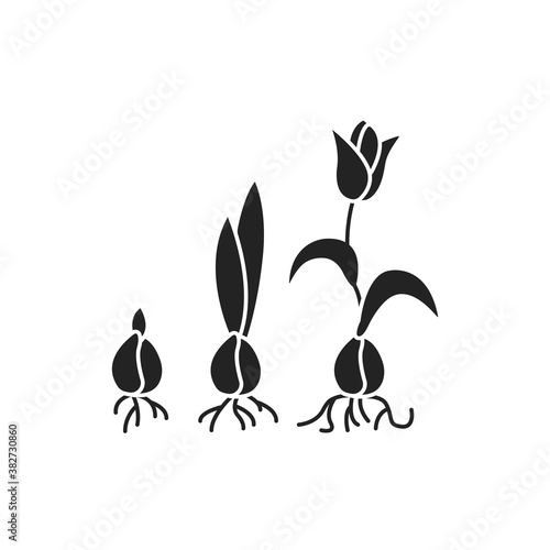 Growing Plant Stages Black Glyph Icon The Seed Germination Growth Reproduction Pollination And Seed Spreading Pictogram For Web Page Mobile App Promo Wall Mural Backwoodsdesign Growing Plant Stages Black Glyph Icon The Seed Germination Growth Reproduction Pollination And Seed Spreading Pictogram For Web Page Mobile App Promo Wall Mural Backwoodsdesign