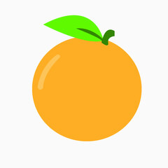 Orange Fruit Vector Illustration