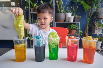 Asian kindergarten boy having fun making Rainbow Cabbage Experiment, Kid learn about how plants thrive by pulling water through its vein system