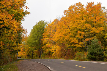 Obraz premium Fall foliage along the road