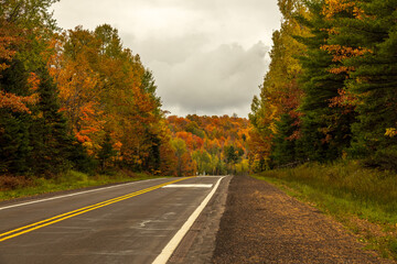 Fall foliage lining the road under cloudy skies