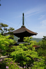 Obraz premium 初夏を迎えた常寂光寺の境内風景