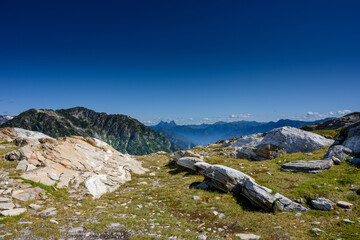 Alpine Meadow on top of Sourdough Mountain