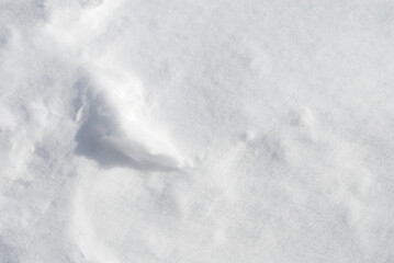 雪　背景　テクスチャ　冬