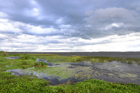 Landscape with river and blue sky,  Iber&aacute; Wetlands (Spanish: Esteros del Iber&aacute; ) Argentina