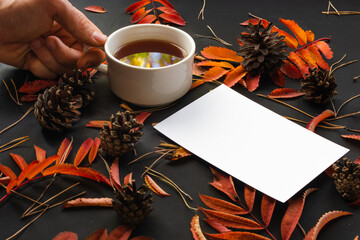mug of black tea that reflects sky with yellow autumn trees, next to which lies clean white sheet of paper on black background with red fall leaves of rowan, pine cones, dry pine needles. blank sheet