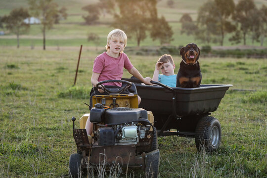 Happy boy driving ride on mower in pretty country setting with another child and dog in trailer