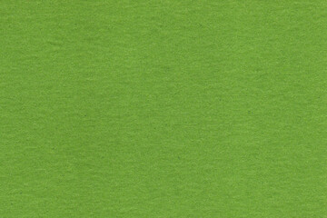 Green Paper Texture. Recycled paper texture background. Scrapbook