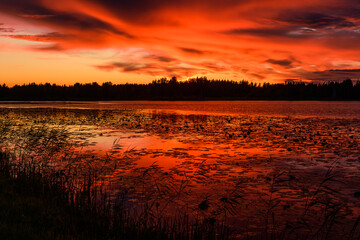 Fantastic landscape at sunset with a stunning forest lake