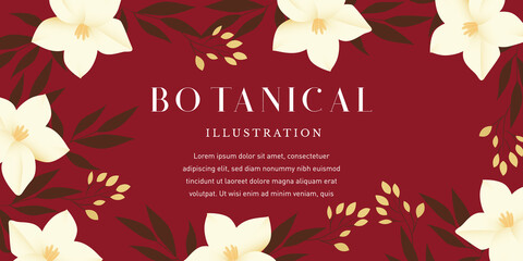 Botanical Illustration