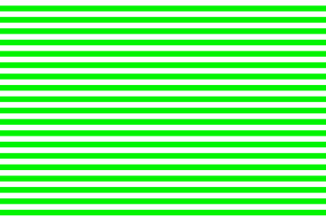 Fototapeta premium green lines and pattern background