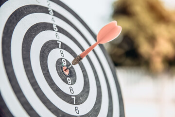 Bulls eye or dart board has red dart arrow throw hitting the center of a shooting target for...
