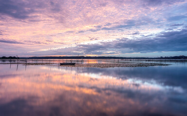印旛沼の朝焼け
