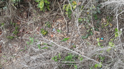 hand picking up grass