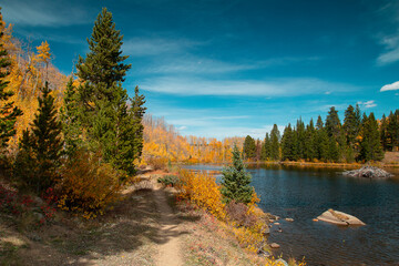 Autumn Bliss