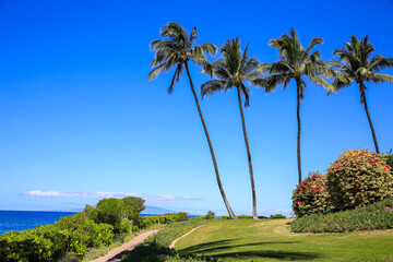 Resort by the sea, Maui, Hawaii