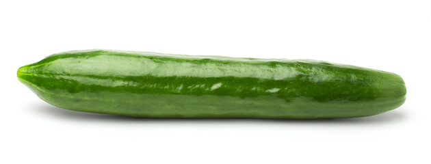 Single cucumber isolated on white background.