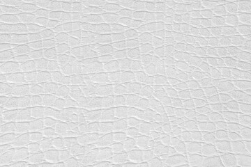 white leatherette texture for background