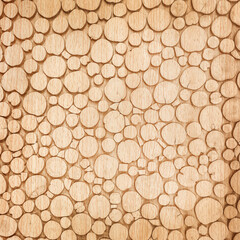 round wood stump texture background
